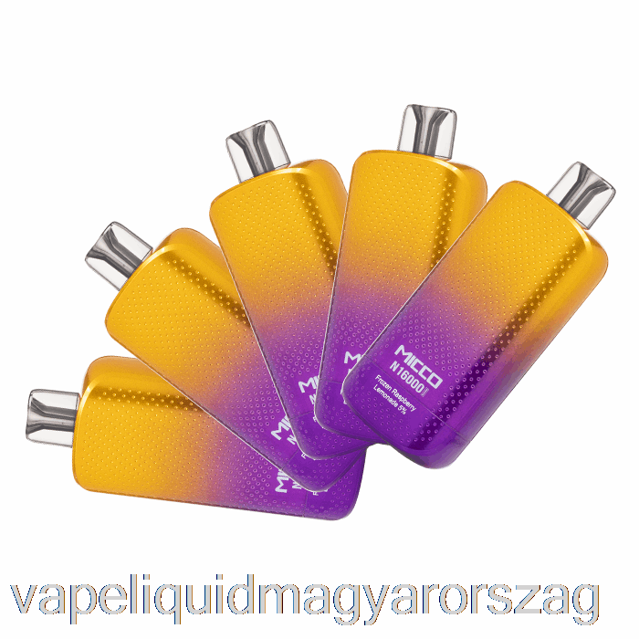 [5 Csomagos] Horizon Micco N16000 Eldobható Vape Folyadék